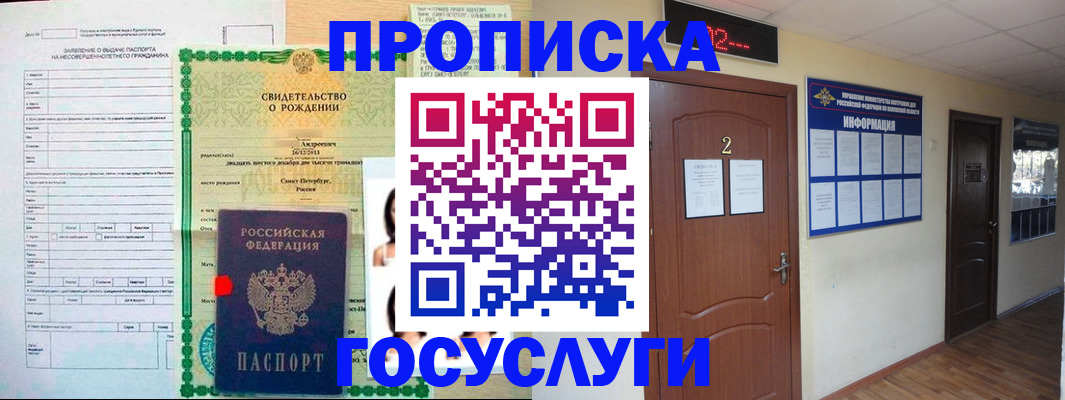 прописка законно в Бердске